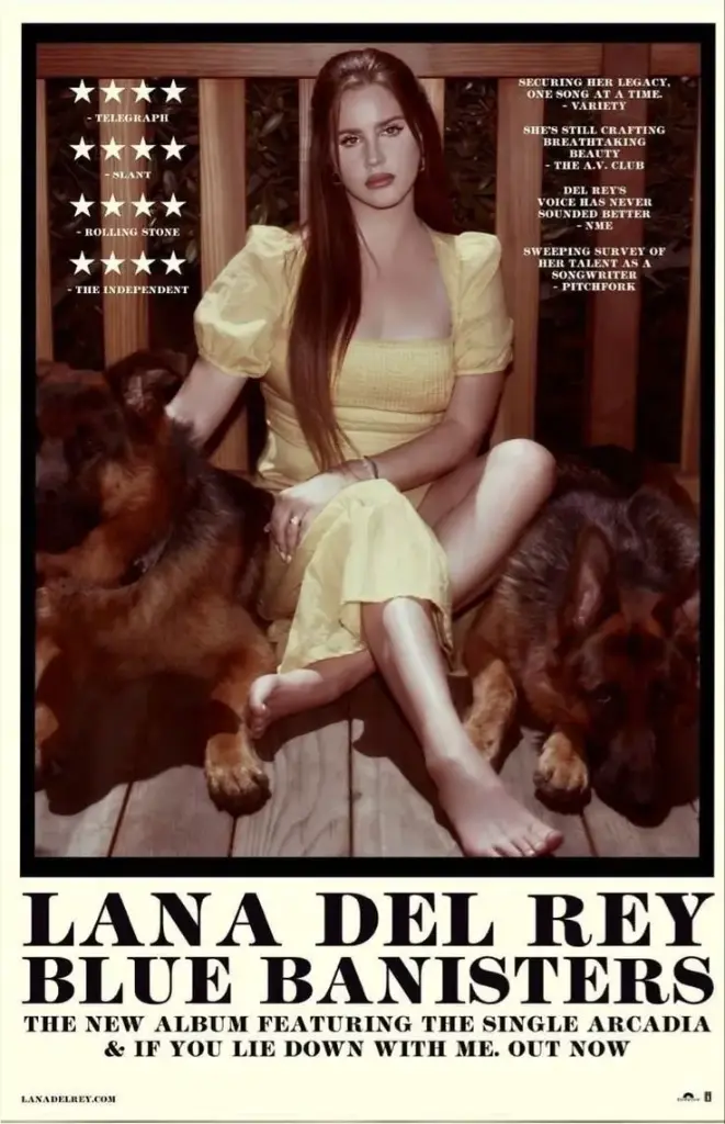 LANA DEL REY POSTER | CODE 15
