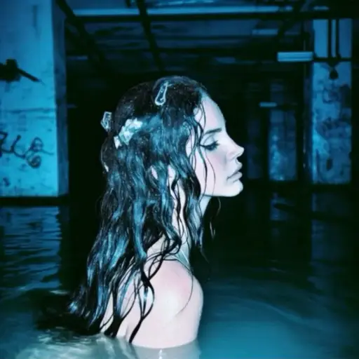 LANA DEL REY POSTER | CODE 09