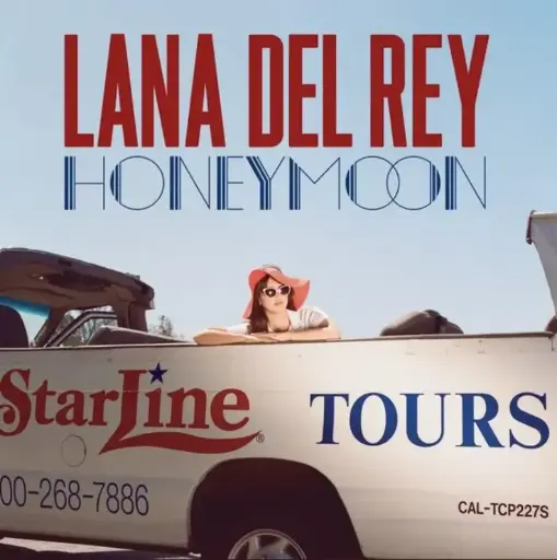 LANA DEL REY POSTER | CODE 45